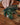 Benchmade 4010-02 Station Knife køkkenkniv med bredt CPM-154-blad og skæfte i Maple Valley Richlite med sort G10-bolster