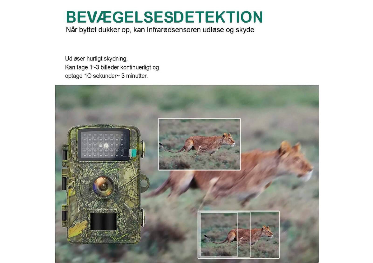Scandinavian Wildlife Camera