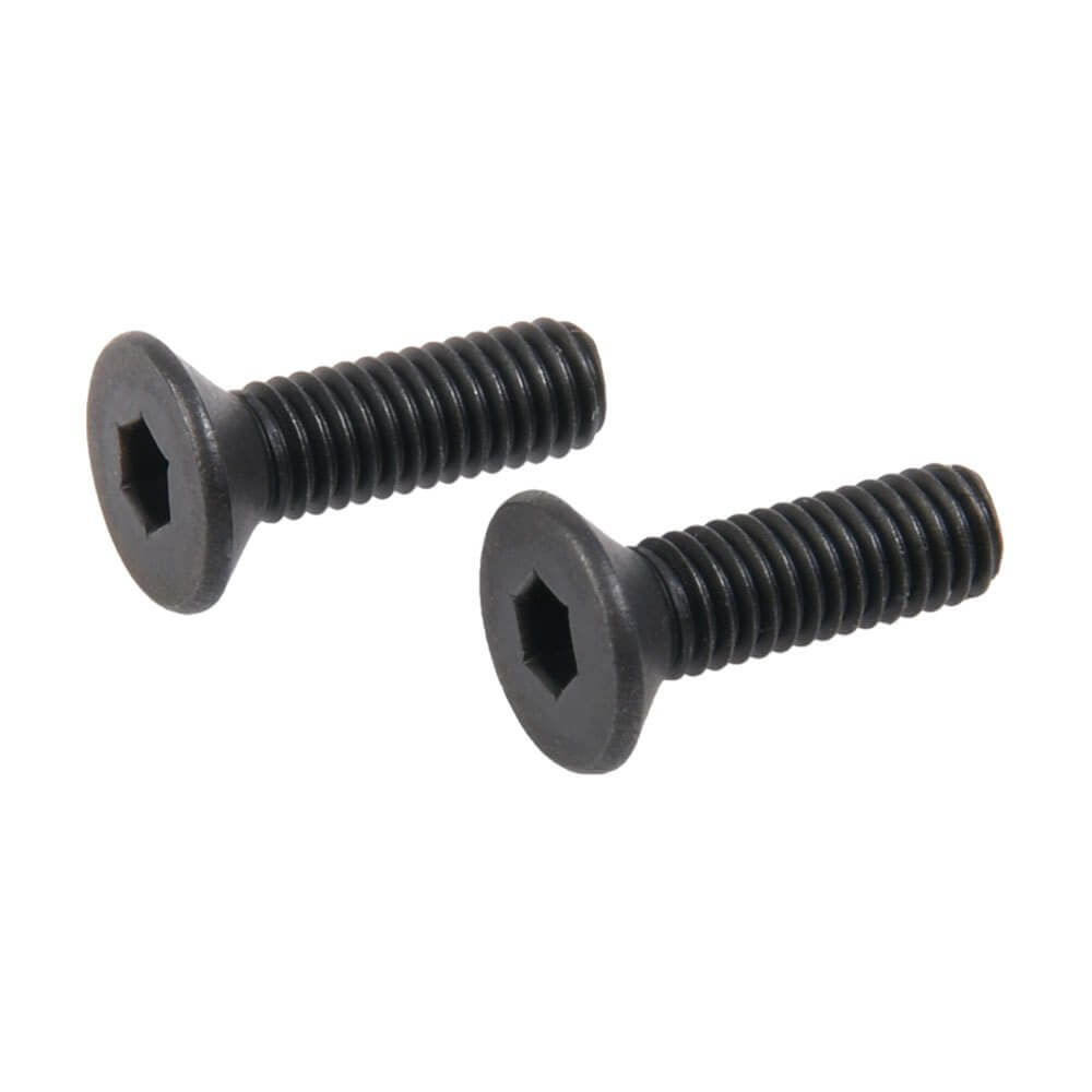 Secutor Gladius Magna RMR screws