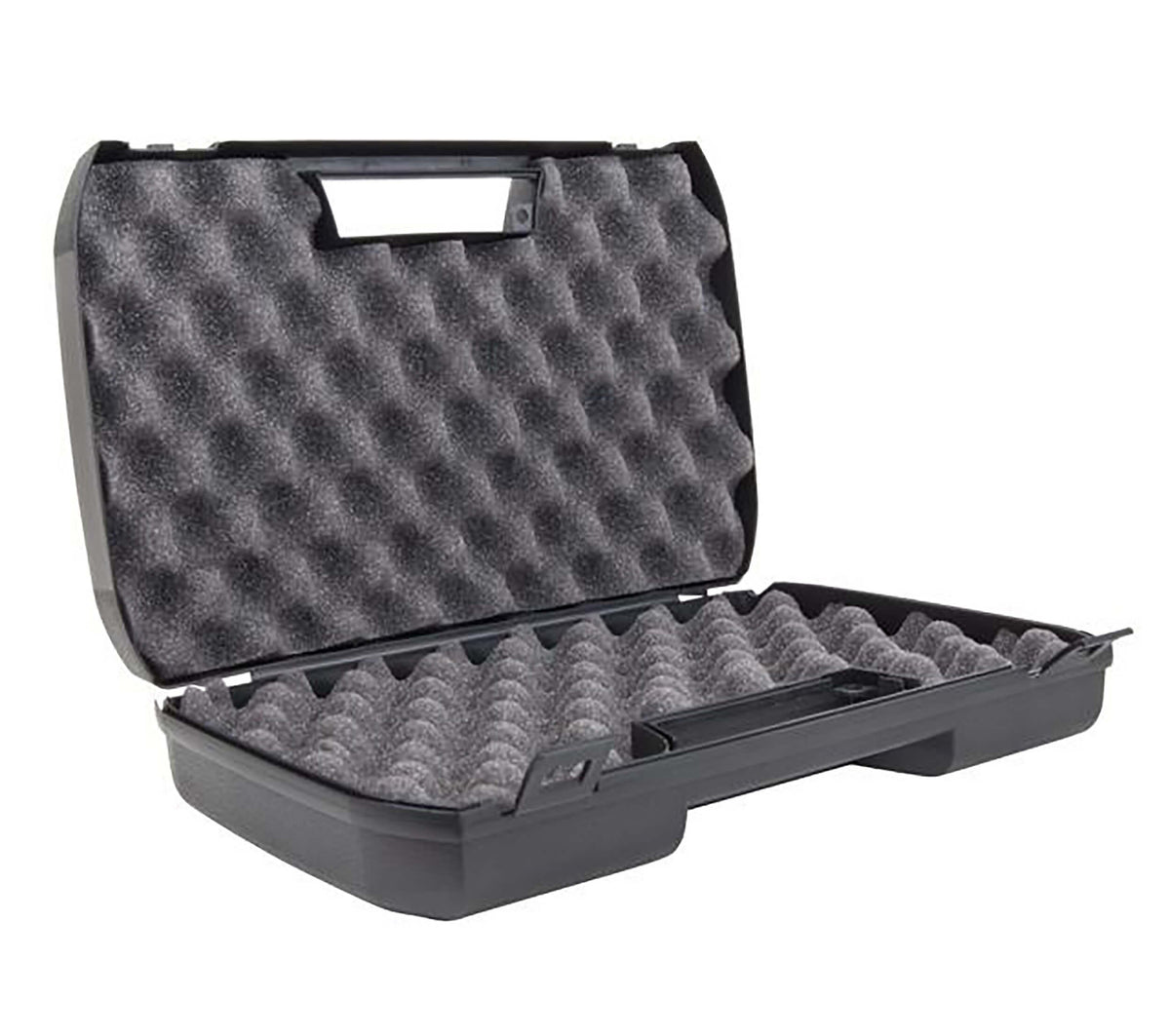 Sig Sauer Pistol case
